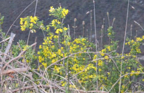 Luxury Casale Sabina Valley - Foto 27