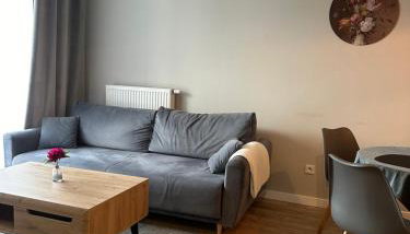 Comfort Family Apartment - Foto 4