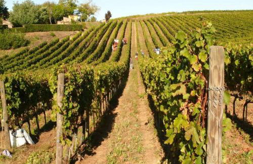 Villa Vinarte Elegant Home 2 Pools Tennis spa Winery Exclusively for you - Foto 60