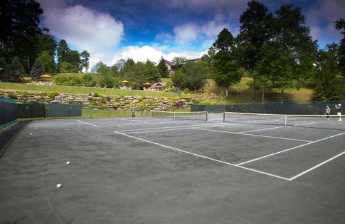 Enjoy the Blue Ridge Mountains in this 2BD condo resort retreat - Foto 42