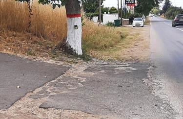 Beautiful Sani Villa - Foto 36