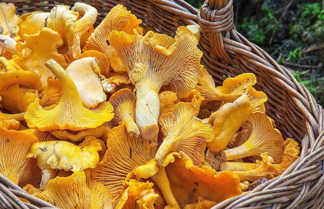 4 Person Holiday Home in Ljusdal-by Traum - Photo 7