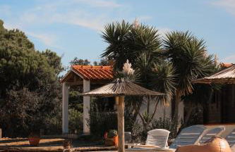 Monte Sardinha - Foto 16