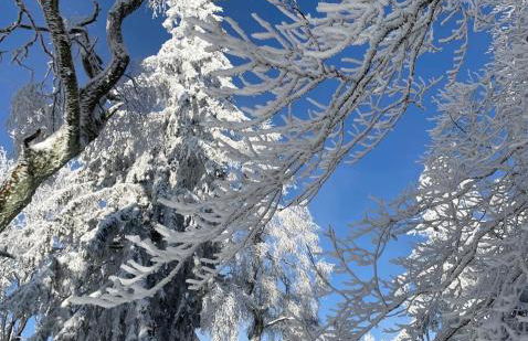 Ferienhaus mit Sauna, Wintergarten und Terrasse im schönen Hochtaunus - Foto 79