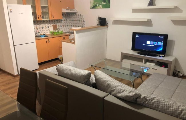 Apartmán Karla Čapka - Foto 19