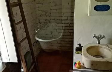 Monte das Aranhas - Foto 55