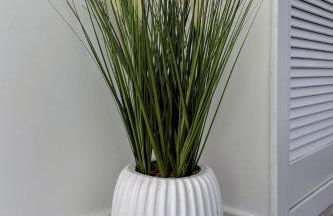 Duffus Nights - Foto 11