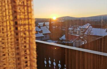 Haus Haidweg - Ferienwohnungen in Haidmühle im Dreiländereck DE-CZ-AT - Foto 39