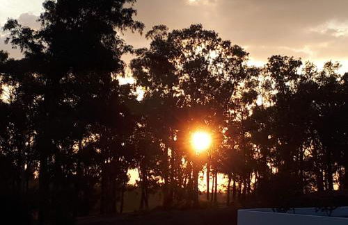 Palacete Dos Alcaides - Foto 62