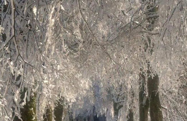 Ferienwohnungen mit Schwimmbad - Foto 47