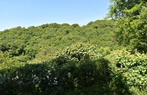 Woodland Retreat - Foto 33