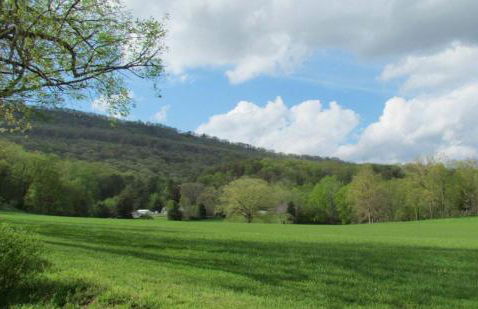 Little River Guest House at Tennessee RiverPlace - Foto 54