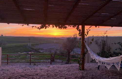 Monte da Aparica - Foto 71