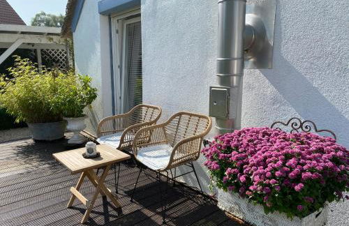 Erholung am Deich - Foto 23