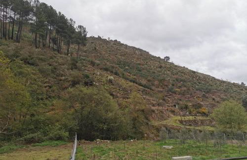 Casa Olho da Lebre Barrocal - Foto 16