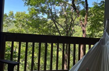 Waterfall Overlook at Bearfoot Falls - Foto 30