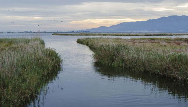 Paisagens do Delta do Ebro