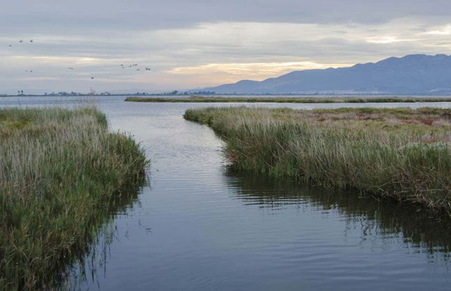 Balade en 4x4 et kayak au Delta de l'Èbre - Photo 2