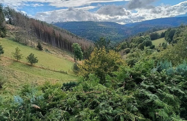 Ferienhaus Meurastein - Foto 19