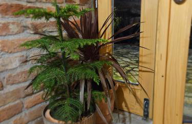 Holiday Home Wine & Relax Sveti Martin na Muri - Foto 44