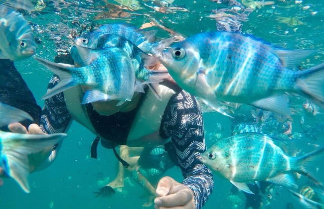 Kood Life - Photo 47