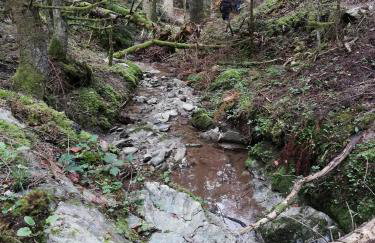 Olympus Country House - Foto 30