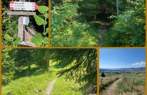 Altopiano di Asiago Apartment - Foto 19