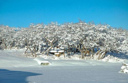 Norwood Home on 36 Acres Hunting, Fishing and More! - Foto 40