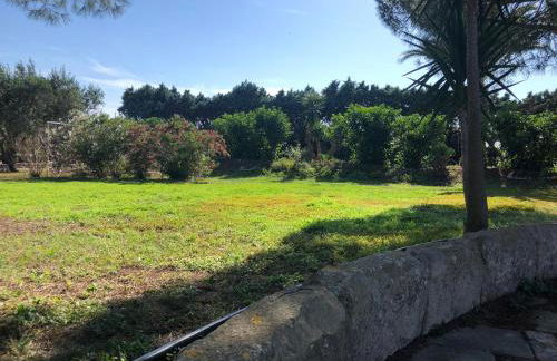 Residence Conchiglia San Giovanni - Foto 15