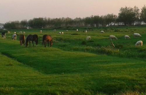 Luxus Chalet mit Terrasse, sehr ruhig in Kollmar - Foto 10