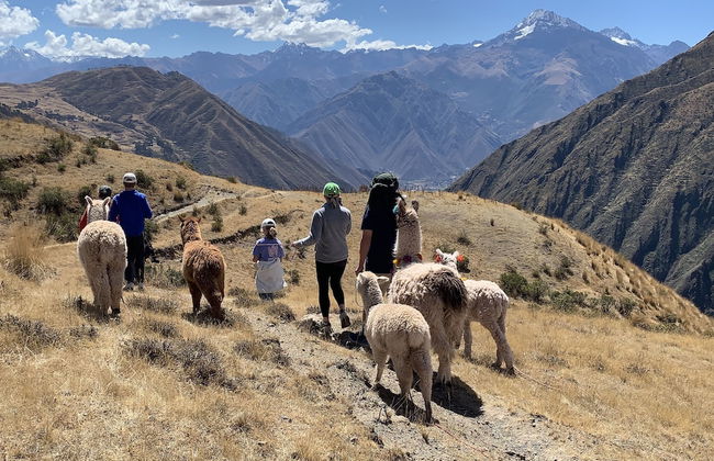 Alpaca Lodge - Foto 19