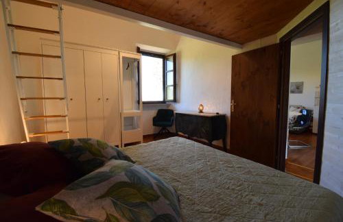 Duca House Small - Photo 30