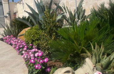 "Lu Barocco" a soli 10 min da Torre Lapillo - Foto 39