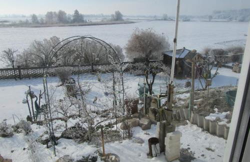 zum Wiesengrund im Oderbruch - Foto 20