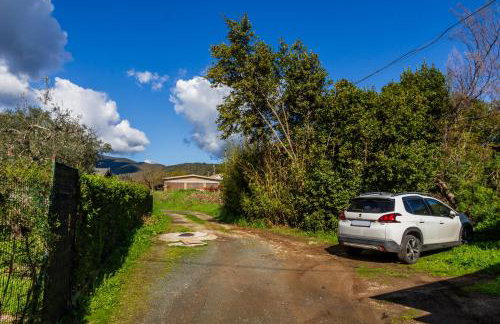 Casa marina Ampio - Castiglione - Photo 17