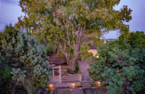 Yiolanda Pool Villa by "Elite" - Foto 38