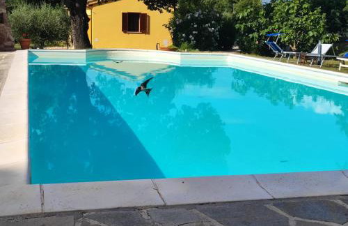 Casa Vacanze "Dimora Quercia" - Villino "Quercia" - Foto 53