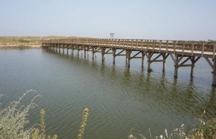 Herdade dos Salgados - Foto 56