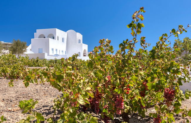 Blanca Luxury Villa - Foto 21