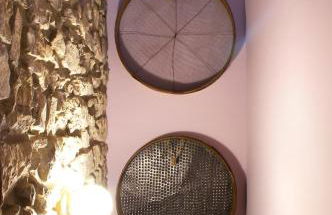 Ca naleix verdu - Foto 20