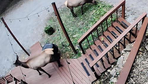 Low LVL Cabin Privte Suite, Kitchenette, AC&Heat, SKI - Foto 3