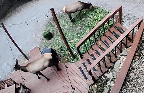 Low LVL Cabin Privte Suite, Kitchenette, AC&Heat, SKI - Foto 3