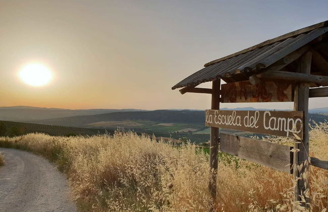 La Escuela del Campo - Photo 39