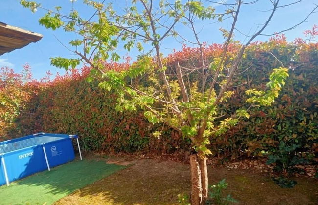 A Casa Nostra Informazioni - Photo 48