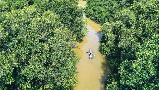 Vistas aéreas del río Manialtepec