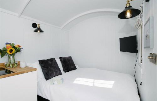 Shepherds Hut at Chenhall Farm - Photo 38