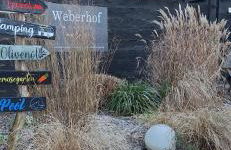 Weberhof - Münster 3 - Foto 21