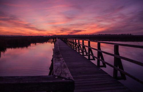 Marktplatz 14 Penthouse Apartments Bad Buchau - Foto 31