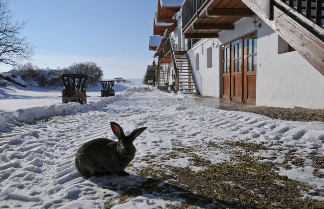 Geinberg Suites & Vianova Lodges - Photo 73