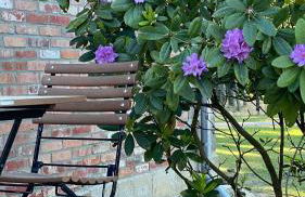 Müllernhof - Photo 12